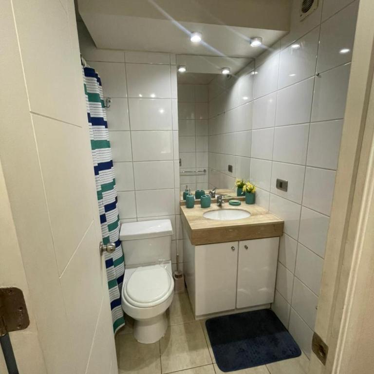 Aconchegante apartamento mobiliado no coração de Santiago - Studio Apartment with Queen Bed - 41