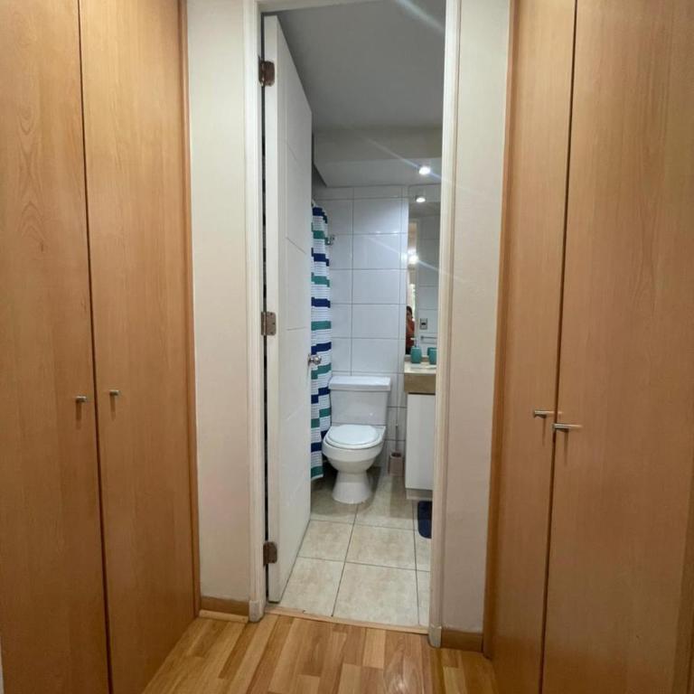 Aconchegante apartamento mobiliado no coração de Santiago - Studio Apartment with Queen Bed - 38