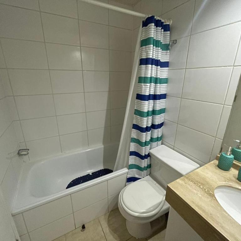 Aconchegante apartamento mobiliado no coração de Santiago - Studio Apartment with Queen Bed - 45