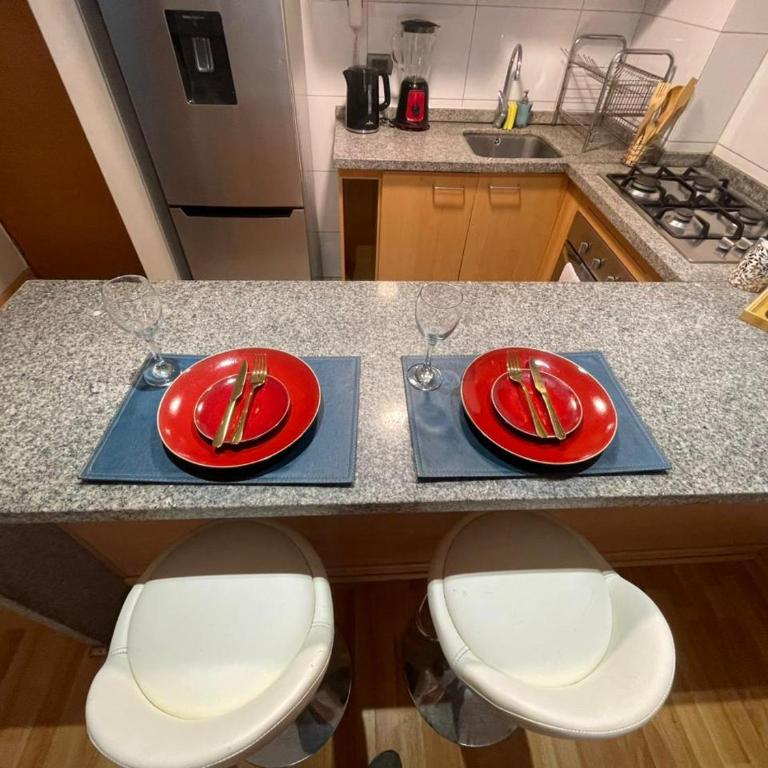 Aconchegante apartamento mobiliado no coração de Santiago - Studio Apartment with Queen Bed - 27