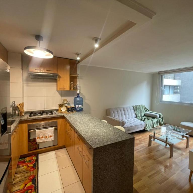 Aconchegante apartamento mobiliado no coração de Santiago - Studio Apartment with Queen Bed - 22