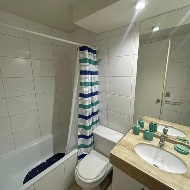 Aconchegante apartamento mobiliado no coração de Santiago - Studio Apartment with Queen Bed - 46