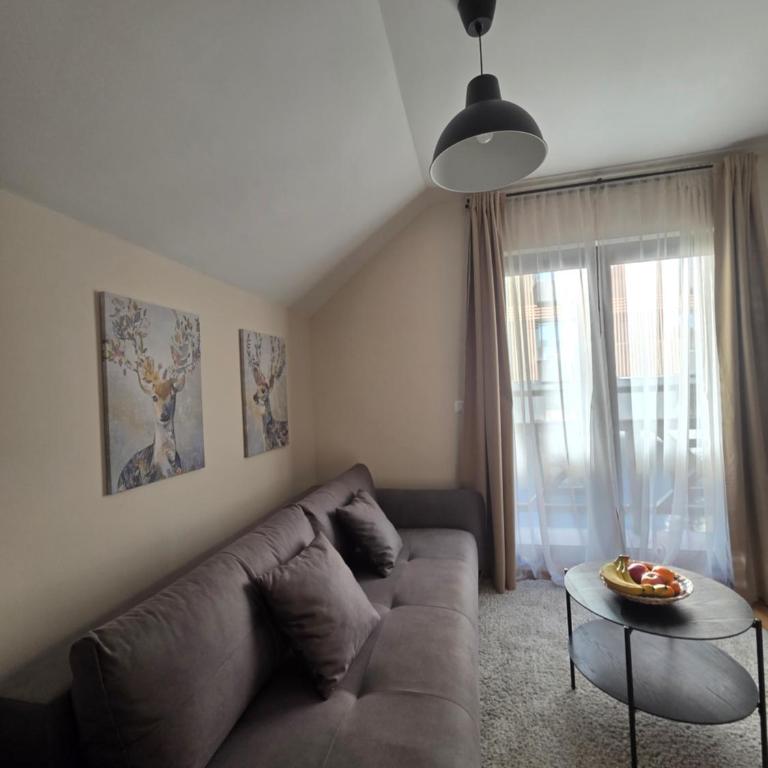 Tara Breeze Apartments - Apartman s 1 Spavaćom Sobom i Balkonom - 4