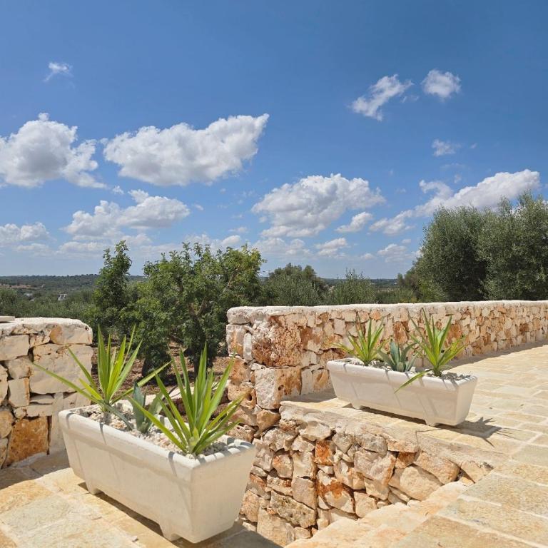 Borgo Cervarolo - Deluxe Villa - 58