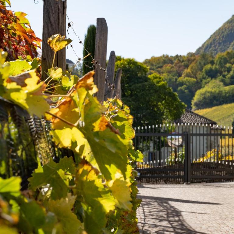 Weingut Gasshof- Panorama Pool in den Weinbergen - Appartamento con Vista Montagna - 33