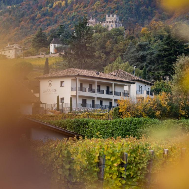 Weingut Gasshof- Panorama Pool in den Weinbergen - Appartamento con Vista Montagna - 20
