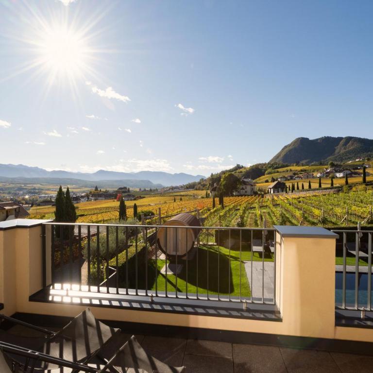 Weingut Gasshof- Panorama Pool in den Weinbergen - Appartamento con Vista Montagna - 32