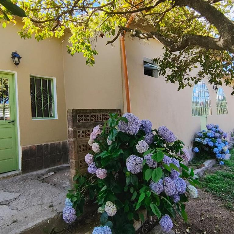 La Maguada - Chalet - 4