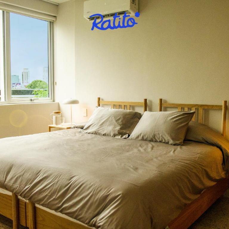 201C Torre Minerva 2Hab SofaCama - Apartamento - 3