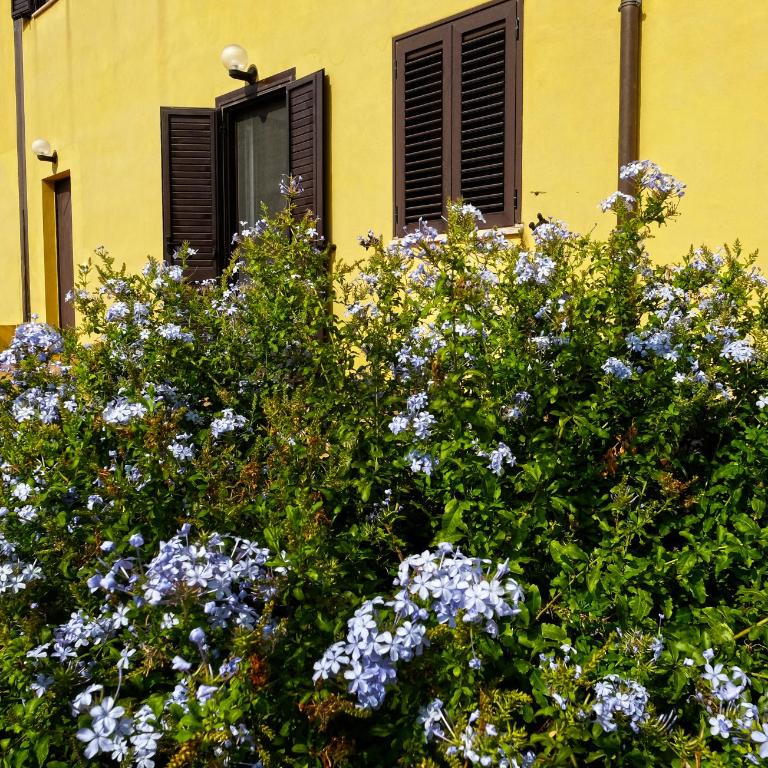 Vistazzurra B&B - Camera Tripla con Bagno Privato - 8