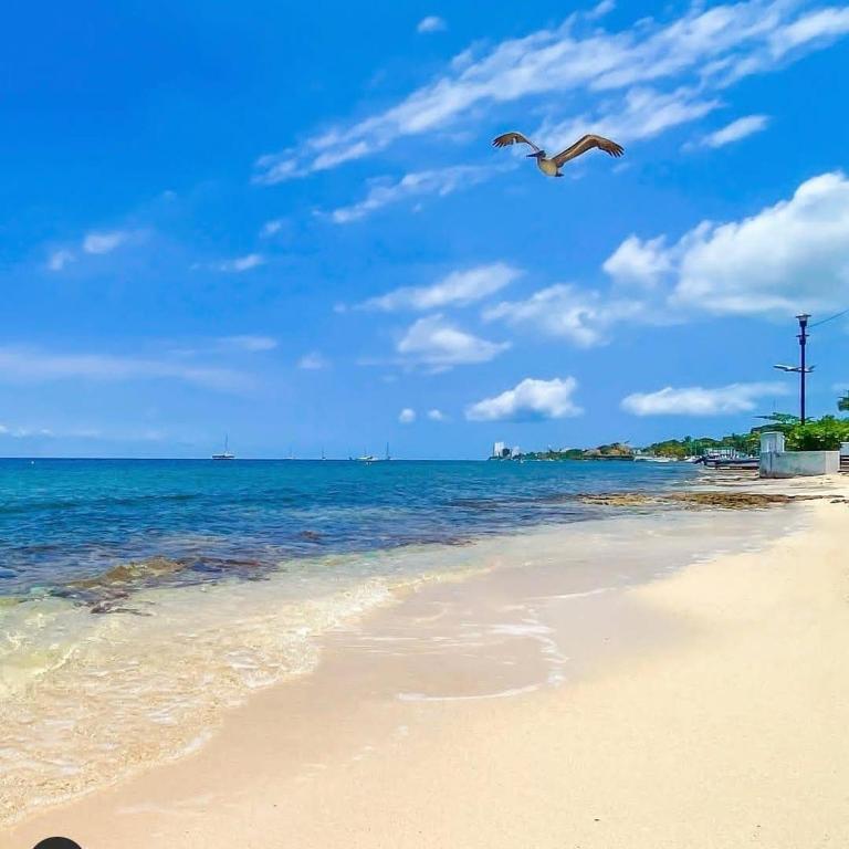 Estudio en Cozumel con vista al mar A1 - Apartamento de 1 dormitorio - 1