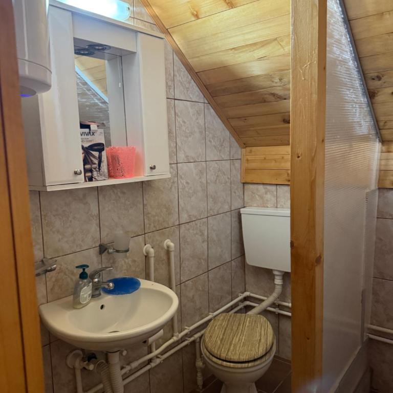 Vila Leni Kopaonik - One-Bedroom Apartment - 3