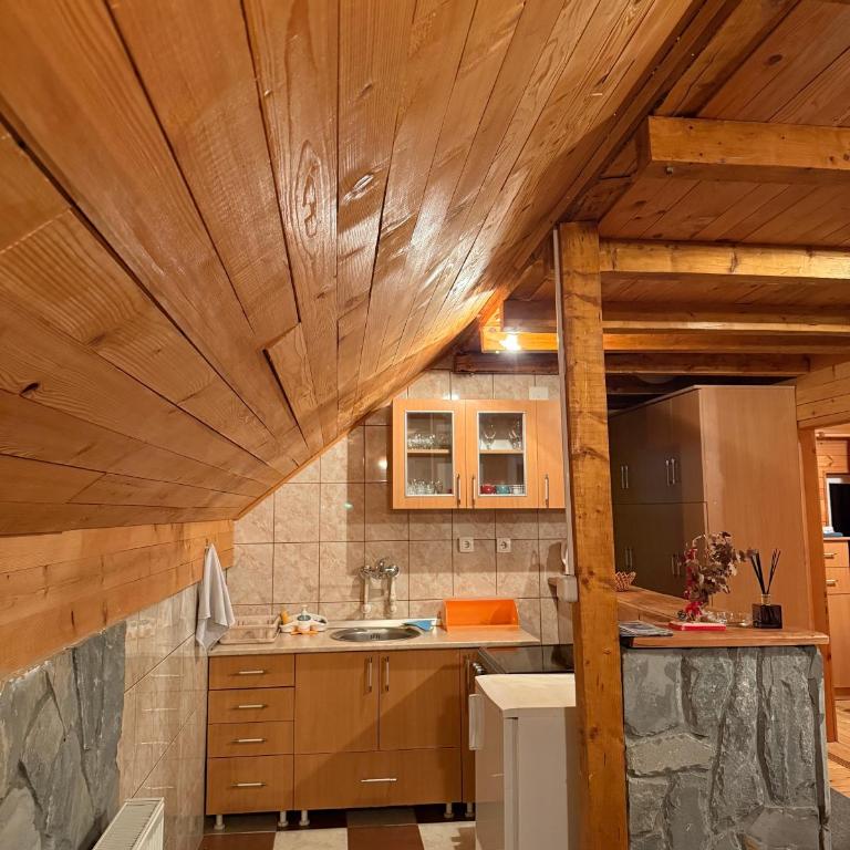 Vila Leni Kopaonik - One-Bedroom Apartment - 5