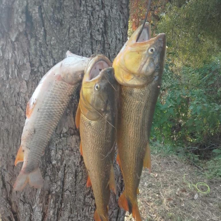 La Buonaterra -Cabañas con playa privada sobre el Rio Uruguay - Casa con 1 dormitorio - 17