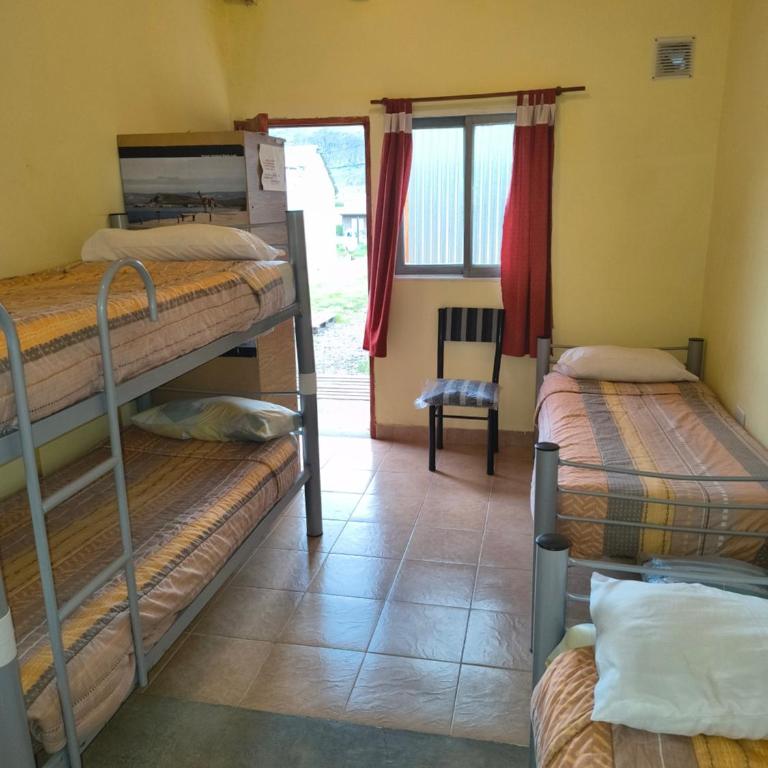 Milenarios Hostel - Cama individual en dormitorio mixto - 7