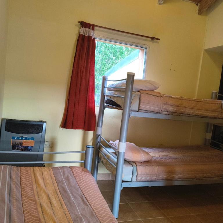 Milenarios Hostel - Cama individual en dormitorio mixto - 5