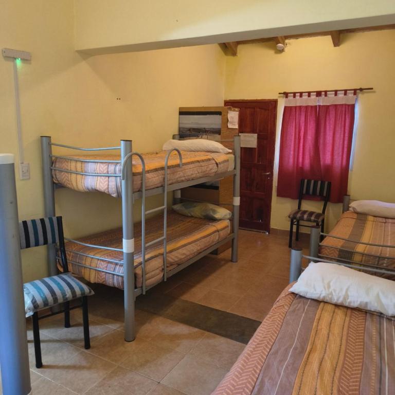 Milenarios Hostel - Cama individual en dormitorio mixto - 4