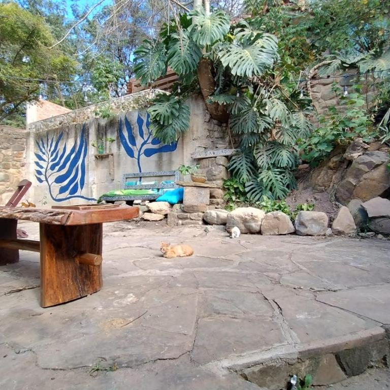 Casa Alquimia La Cabaña - Vacation Home - 23