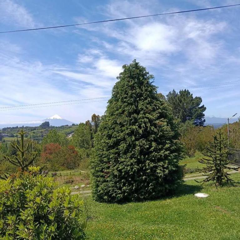 Brisas de Puerto Varas Cabin - One-Bedroom House - 4
