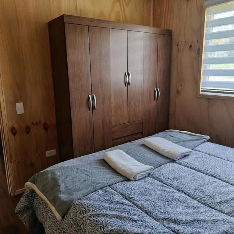 Brisas de Puerto Varas Cabin - One-Bedroom House - 8
