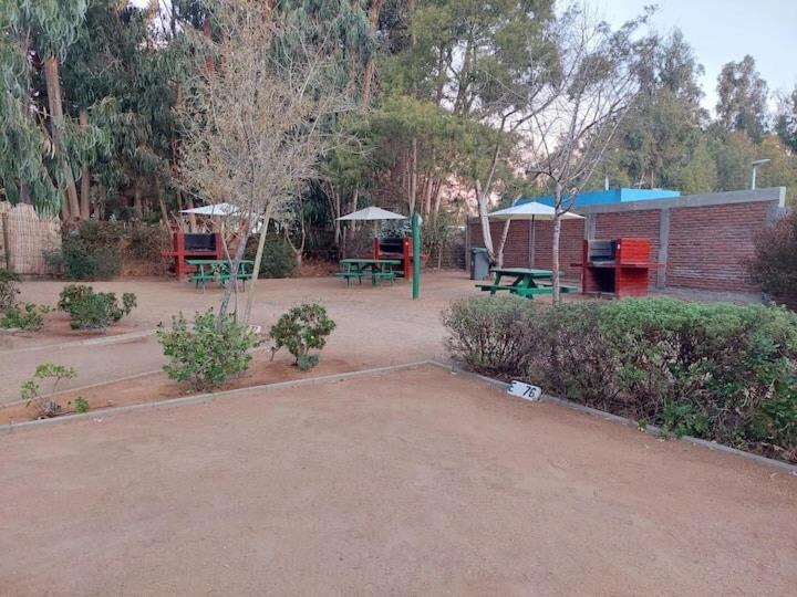 Algarrobo Norte Mirasol Apartmento - Apartamento de 1 dormitorio - 19