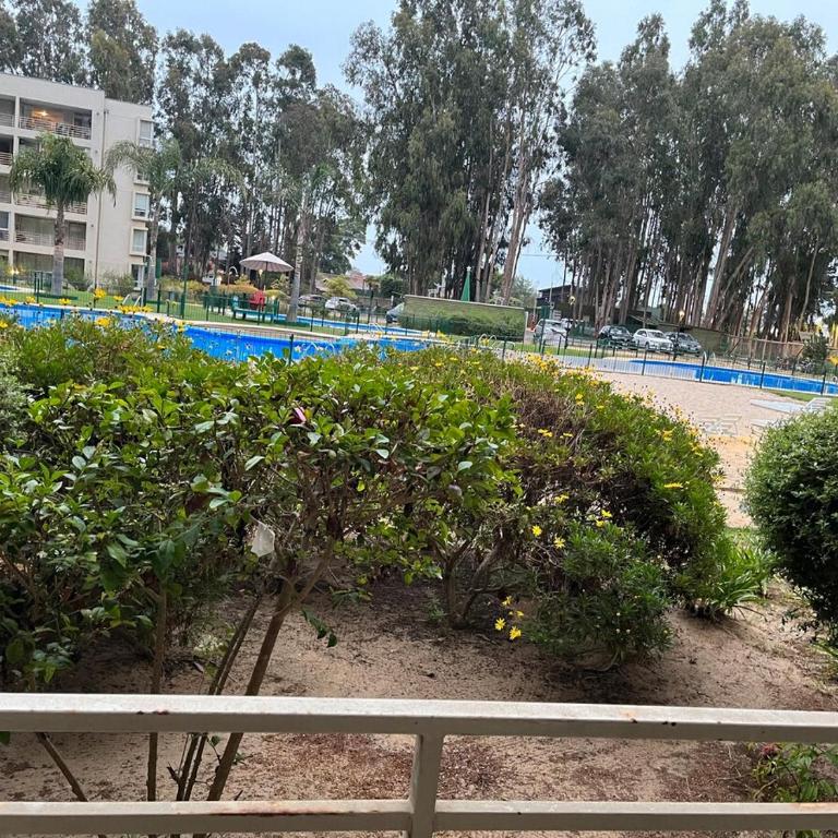 Algarrobo Norte Mirasol Apartmento - Apartamento de 1 dormitorio - 31