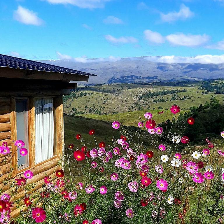 La Autóctona - One-Bedroom Chalet - 12