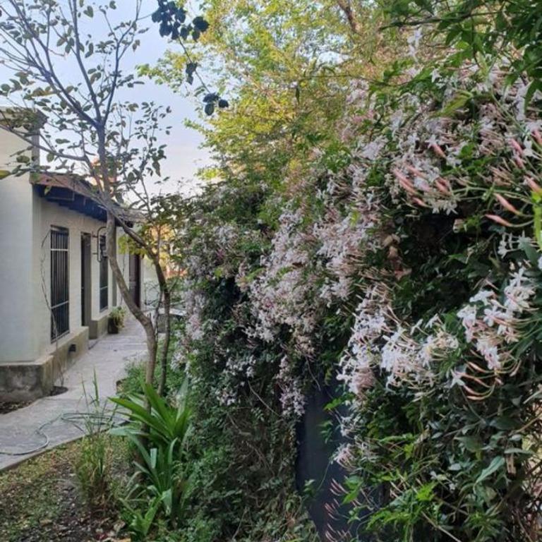 Los Tarcos Guest House - Habitación Doble Estándar con vistas al jardín - 2 camas - 1