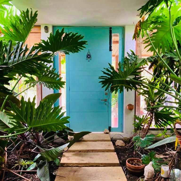 Serendipia - Three-Bedroom House - 9