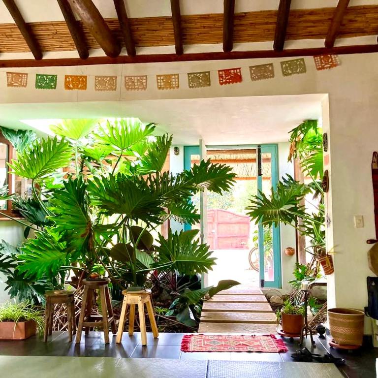 Serendipia - Three-Bedroom House - 10
