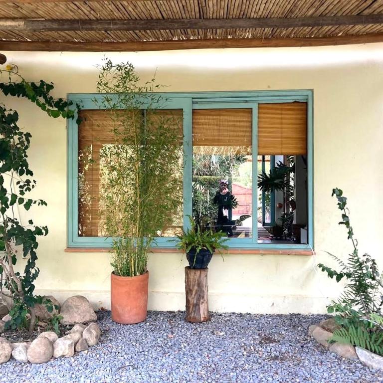 Serendipia - Three-Bedroom House - 16