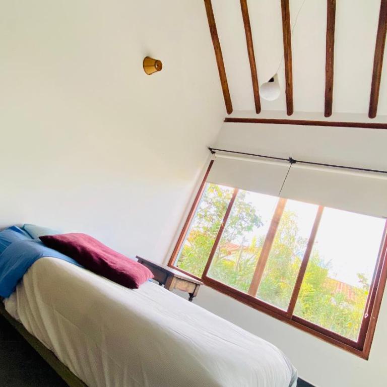 Serendipia - Three-Bedroom House - 18