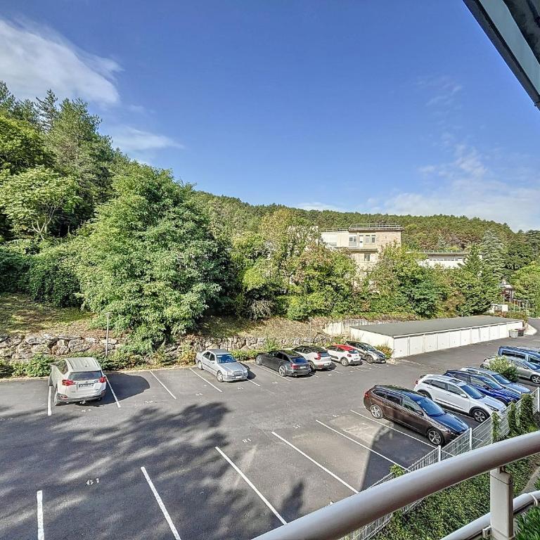 Appartement F2 climatisé avec parking, Wi-Fi, animaux acceptés, proche centre et Thermes - FR-1-451-113 - Appartement 1 Chambre - 16