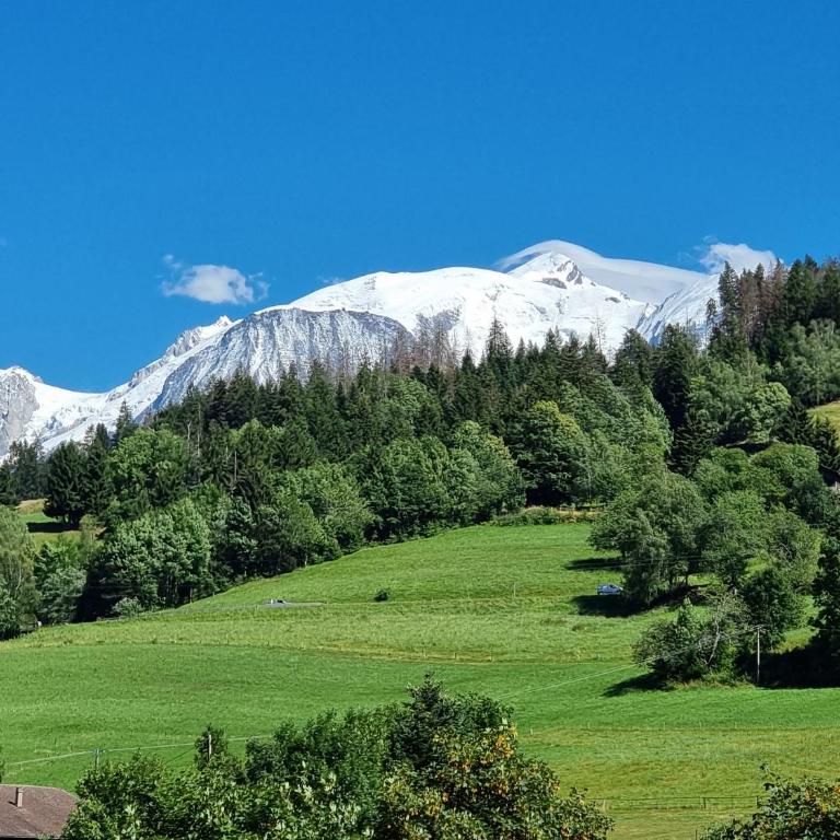 Appartement neuf avec vue Mont Blanc, parking et wifi à Combloux - Appartement 3 Chambres - 21