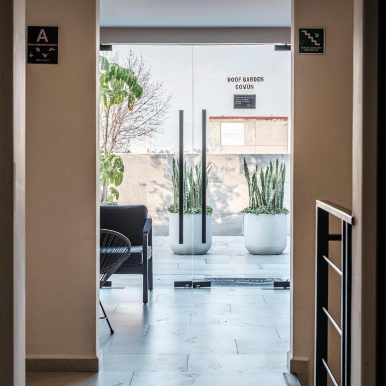 An apartment in the heart of Mexico City - Two-Bedroom Apartment - 26