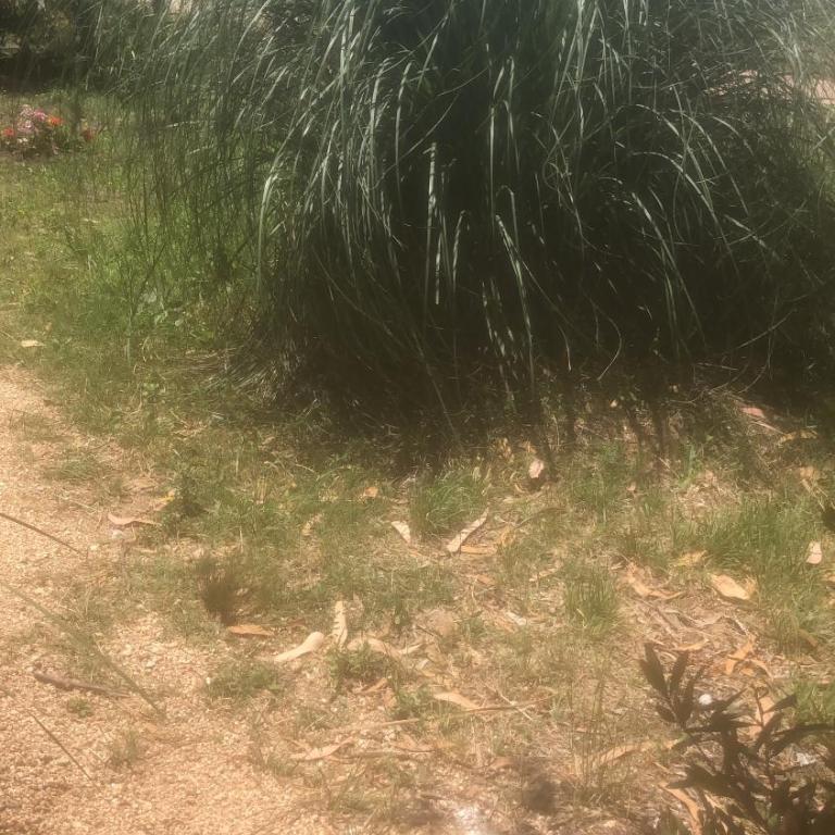 Casa en Santa Monica Maldonado - Casa de 2 dormitorios - 28