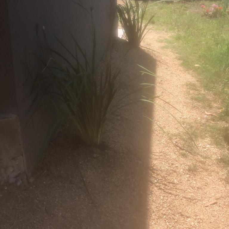 Casa en Santa Monica Maldonado - Casa de 2 dormitorios - 31