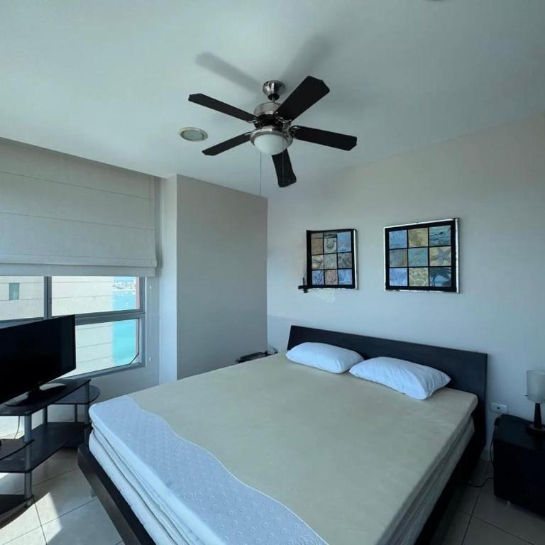 salinas departamento - Apartamento - 5