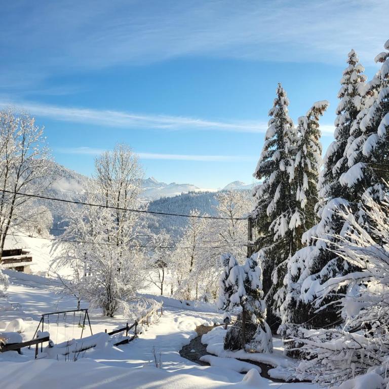 Chalet Chamois & Spa - Chalet 2 Chambres - 3