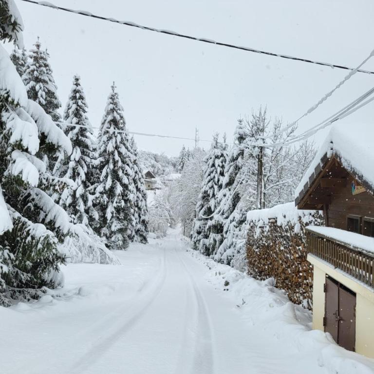 Chalet Chamois & Spa - Chalet 2 Chambres - 15