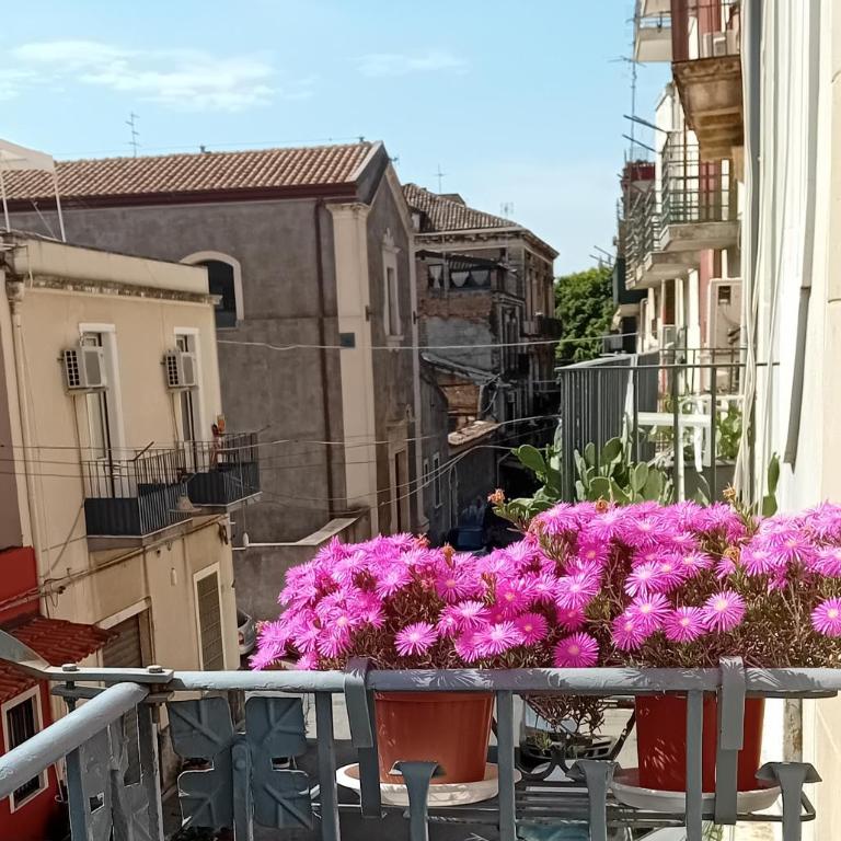 La casuzza di Tindaro - Appartamento con 2 Camere da Letto - 58