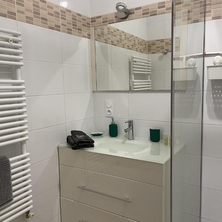 Le Moinet Fayard - Appartement 1 Chambre avec Terrasse - 9