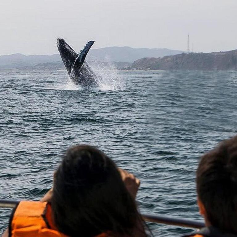 Casa de playa en los Organos, Peru - Vacation Home - 5
