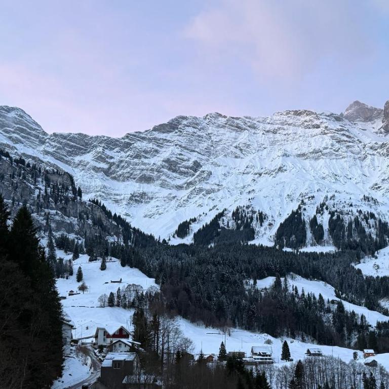 Chalet Engelberg Mountain View - Chalet mit 3 Schlafzimmern - 16