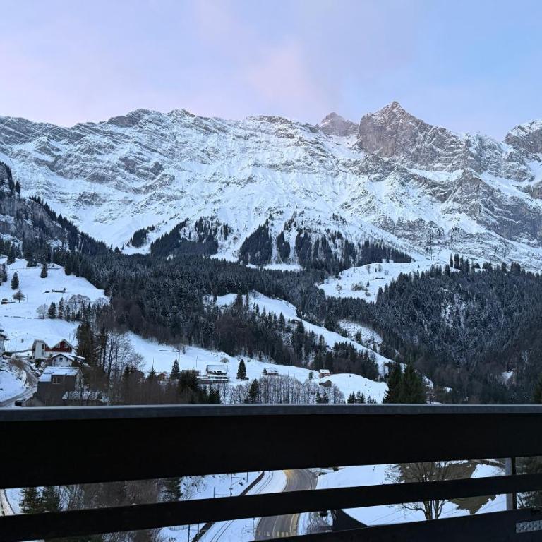 Chalet Engelberg Mountain View - Chalet mit 3 Schlafzimmern - 17