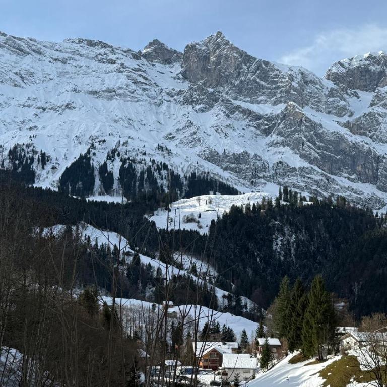 Chalet Engelberg Mountain View - Chalet mit 3 Schlafzimmern - 19