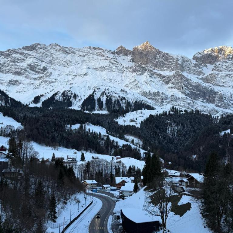 Chalet Engelberg Mountain View - Chalet mit 3 Schlafzimmern - 20