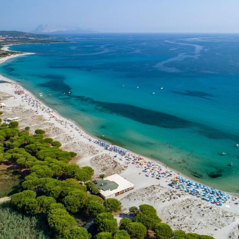Bright apartment 300mt from the beach - Appartamento - 19