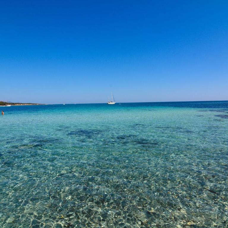 Bright apartment 300mt from the beach - Appartamento - 21