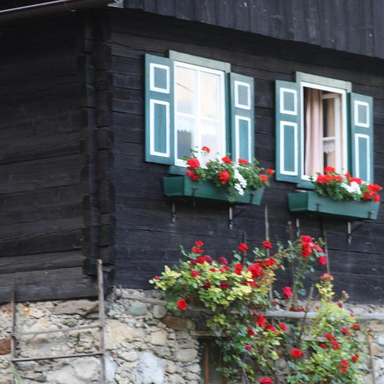 Müllnerhof - Familie Maier - Ferienhaus mit Dusche - 2